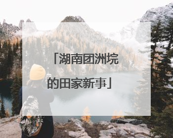 湖南团洲垸的田家新事
