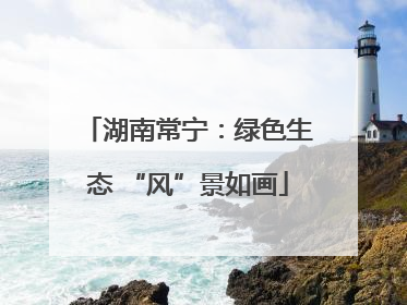 湖南常宁：绿色生态 “风”景如画