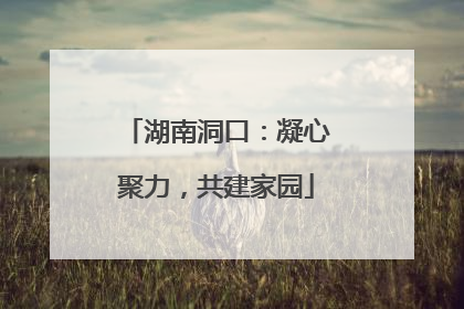 湖南洞口：凝心聚力，共建家园