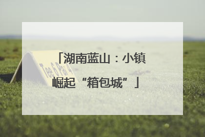 湖南蓝山:小镇崛起“箱包城”