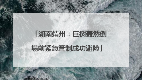 湖南靖州：巨树轰然倒塌前紧急管制成功避险