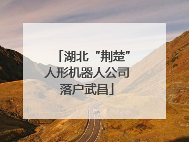 湖北“荆楚”人形机器人公司落户武昌