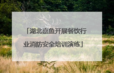 湖北嘉鱼开展餐饮行业消防安全培训演练