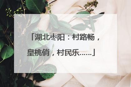 湖北枣阳：村路畅，皇桃俏，村民乐……