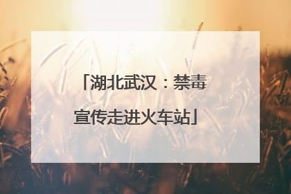 湖北武汉：禁毒宣传走进火车站