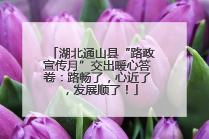 湖北通山县“路政宣传月”交出暖心答卷：路畅了，心近了，发展顺了！