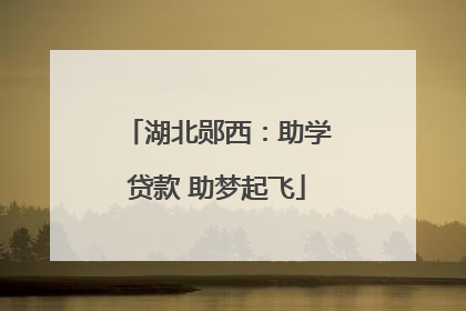 湖北郧西：助学贷款 助梦起飞