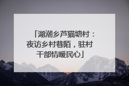 湖潮乡芦猫塘村：夜访乡村巷陌，驻村干部情暖民心