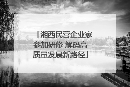 湘西民营企业家参加研修 解码高质量发展新路径