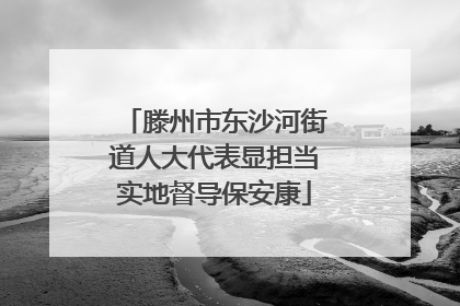 滕州市东沙河街道人大代表显担当实地督导保安康
