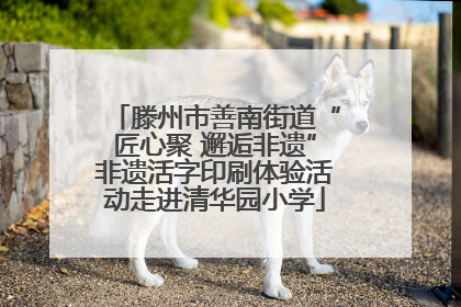 滕州市善南街道“匠心聚 邂逅非遗”非遗活字印刷体验活动走进清华园小学