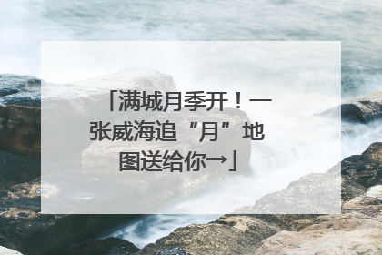满城月季开！一张威海追“月”地图送给你→
