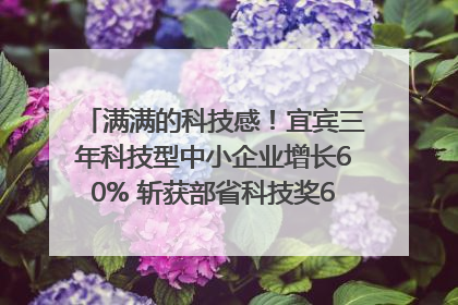 满满的科技感！宜宾三年科技型中小企业增长60% 斩获部省科技奖6项｜您牵挂的四川