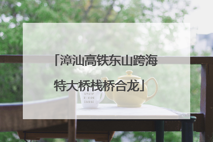 漳汕高铁东山跨海特大桥栈桥合龙