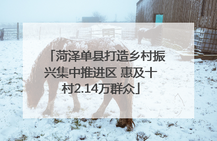 菏泽单县打造乡村振兴集中推进区 惠及十村2.14万群众
