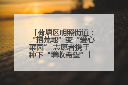 荷塘区明照街道：“撂荒地”变“爱心菜园” 志愿者携手种下“增收希望”