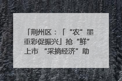 荆州区：「“农”墨重彩促振兴」抢“鲜”上市 “采摘经济”助农“甜蜜增收”