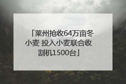 莱州抢收64万亩冬小麦 投入小麦联合收割机1500台