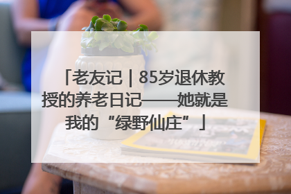 老友记｜85岁退休教授的养老日记——她就是我的“绿野仙庄”