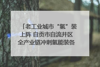 老工业城市“氢”装上阵 自贡市自流井区全产业链冲刺氢能装备制造新高地｜美好生活有“盐”味