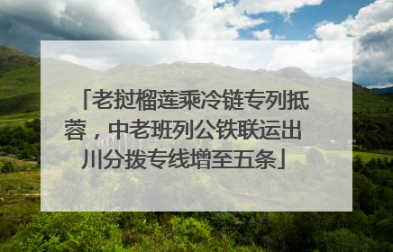 老挝榴莲乘冷链专列抵蓉，中老班列公铁联运出川分拨专线增至五条