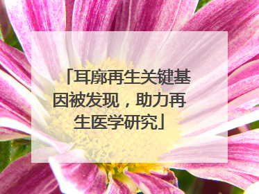 耳廓再生关键基因被发现，助力再生医学研究