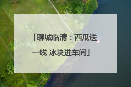 聊城临清：西瓜送一线 冰块进车间