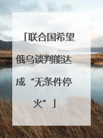 联合国希望俄乌谈判能达成“无条件停火”