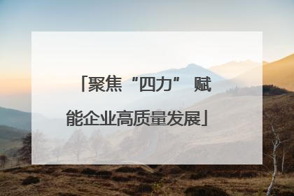 聚焦“四力” 赋能企业高质量发展
