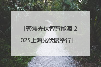 聚焦光伏智慧能源 2025上海光伏展举行