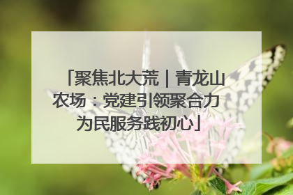 聚焦北大荒｜青龙山农场：党建引领聚合力 为民服务践初心