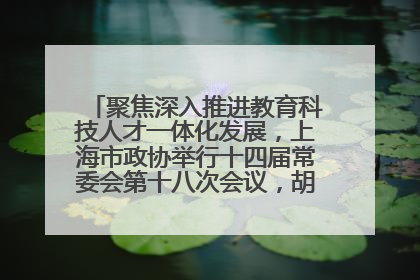 聚焦深入推进教育科技人才一体化发展，上海市政协举行十四届常委会第十八次会议，胡文容出席并讲话