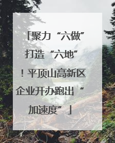 聚力“六做” 打造“六地”！平顶山高新区企业开办跑出“加速度”