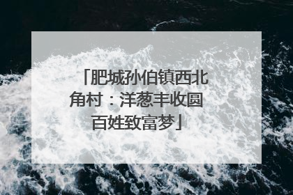 肥城孙伯镇西北角村：洋葱丰收圆百姓致富梦
