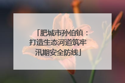 肥城市孙伯镇：打造生态河道筑牢汛期安全防线