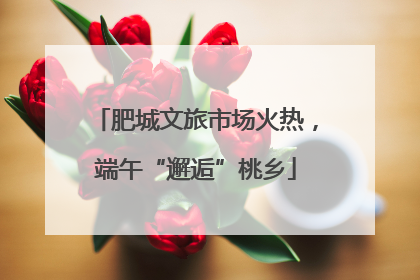 肥城文旅市场火热，端午“邂逅”桃乡