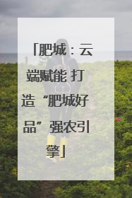 肥城：云端赋能 打造“肥城好品”强农引擎