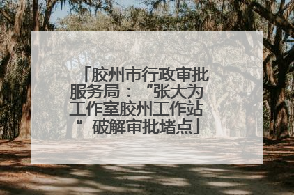 胶州市行政审批服务局：“张大为工作室胶州工作站”破解审批堵点