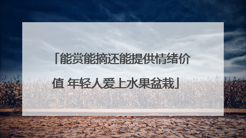 能赏能摘还能提供情绪价值 年轻人爱上水果盆栽