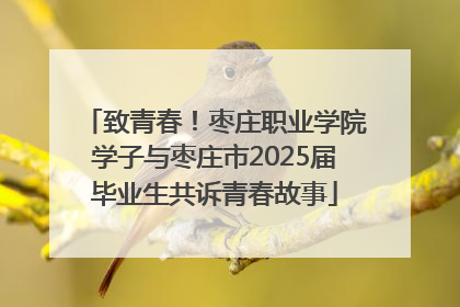 致青春！枣庄职业学院学子与枣庄市2025届毕业生共诉青春故事