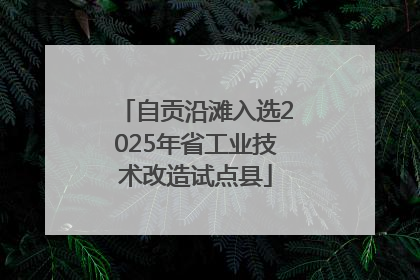 自贡沿滩入选2025年省工业技术改造试点县