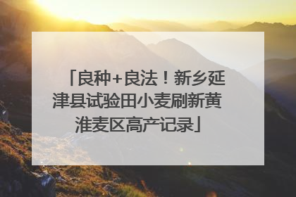 良种+良法！新乡延津县试验田小麦刷新黄淮麦区高产记录