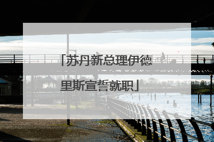 苏丹新总理伊德里斯宣誓就职