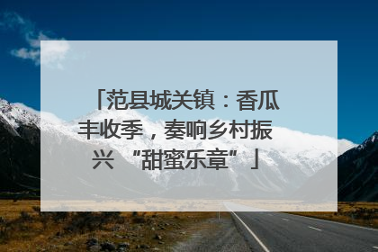 范县城关镇：香瓜丰收季，奏响乡村振兴 “甜蜜乐章”