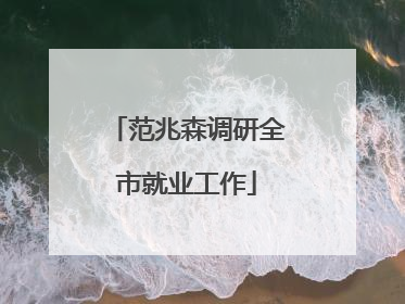 范兆森调研全市就业工作