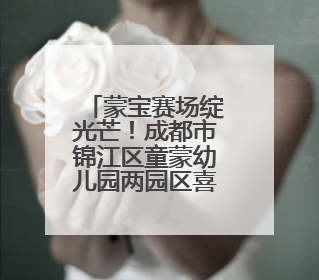 蒙宝赛场绽光芒！成都市锦江区童蒙幼儿园两园区喜获荣耀