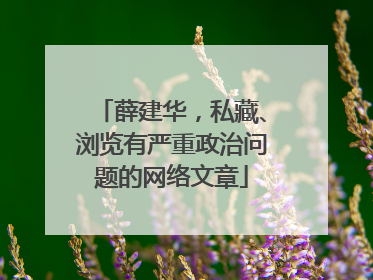 薛建华，私藏、浏览有严重政治问题的网络文章