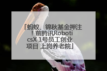 蚂蚁、锦秋基金押注！前腾讯RoboticsX 1号员工创业项目 上岗养老院