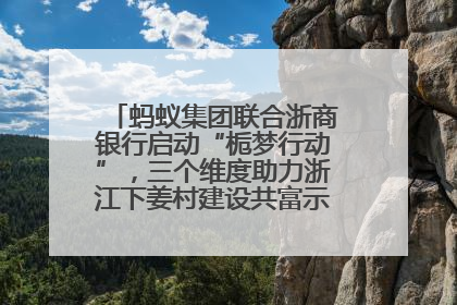 蚂蚁集团联合浙商银行启动“栀梦行动”，三个维度助力浙江下姜村建设共富示范区示范点