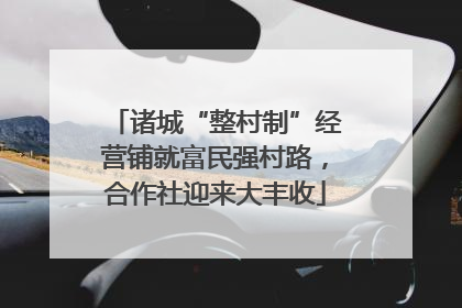 诸城“整村制”经营铺就富民强村路，合作社迎来大丰收